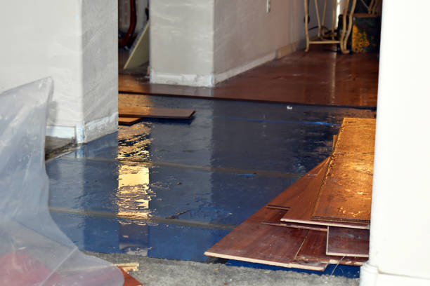 Professional Burst Pipe Cleanup technician working in Ravena, NY